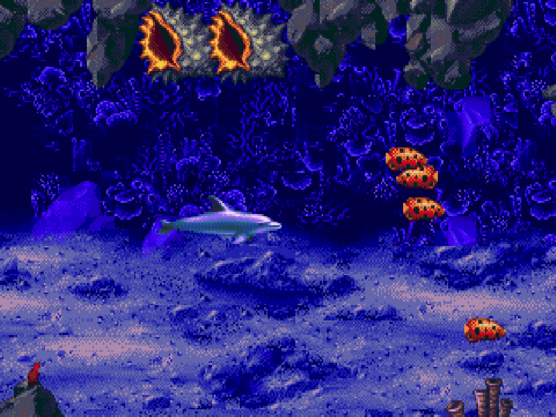 ECCO - The Tides of Time