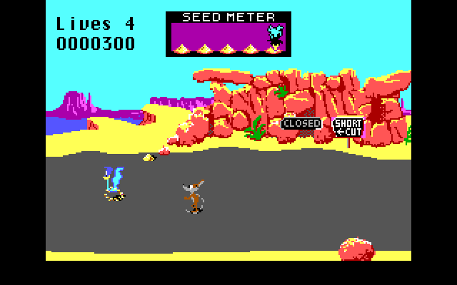 Road Runner / Coureur de route